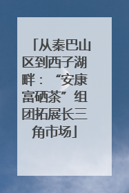 从秦巴山区到西子湖畔：“安康富硒茶”组团拓展长三角市场