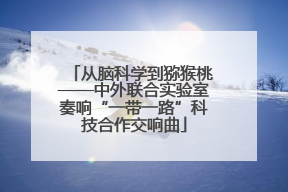 从脑科学到猕猴桃——中外联合实验室奏响“一带一路”科技合作交响曲