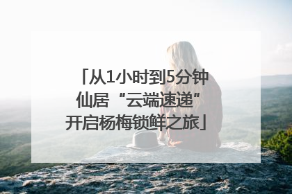 从1小时到5分钟 仙居“云端速递”开启杨梅锁鲜之旅
