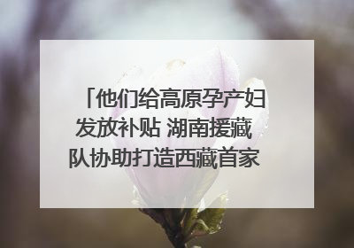 他们给高原孕产妇发放补贴 湖南援藏队协助打造西藏首家高原产儿协同中心