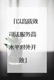 以高质效司法服务高水平对外开放