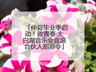 仲夏毕业季启动！致青春·太白湖音乐会音浪合伙人招募令