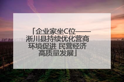 企业家坐C位——淅川县持续优化营商环境促进 民营经济高质量发展