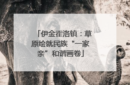 伊金霍洛镇：草原绘就民族“一家亲”和谐画卷