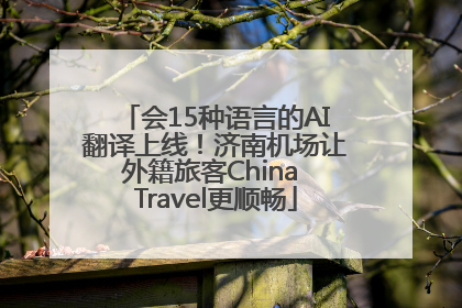 会15种语言的AI翻译上线！济南机场让外籍旅客China Travel更顺畅