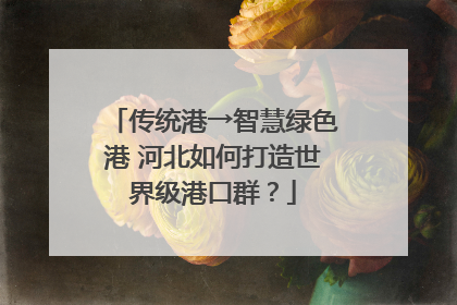 传统港→智慧绿色港 河北如何打造世界级港口群？