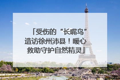 受伤的“长嘴鸟”造访徐州沛县！暖心救助守护自然精灵