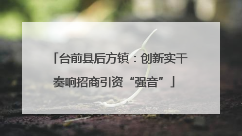 台前县后方镇：创新实干奏响招商引资“强音”