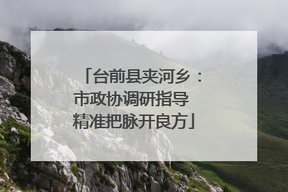 台前县夹河乡：市政协调研指导 精准把脉开良方