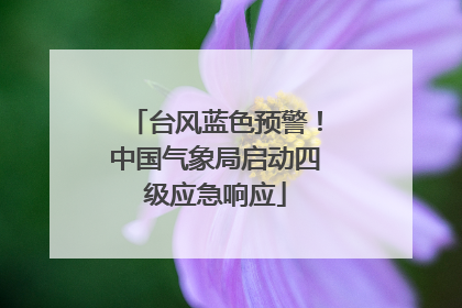 台风蓝色预警！中国气象局启动四级应急响应