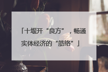 十堰开“良方”，畅通实体经济的“筋络”