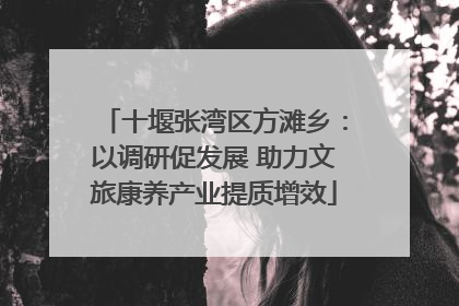 十堰张湾区方滩乡：以调研促发展 助力文旅康养产业提质增效