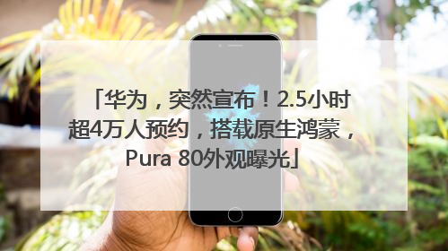 华为，突然宣布！2.5小时超4万人预约，搭载原生鸿蒙，Pura 80外观曝光