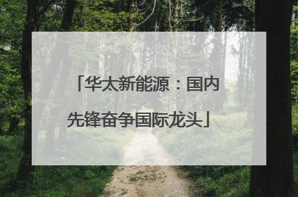 华太新能源：国内先锋奋争国际龙头