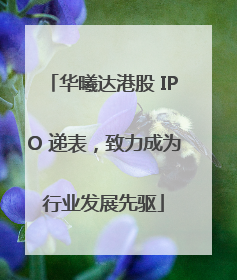 华曦达港股 IPO 递表，致力成为行业发展先驱