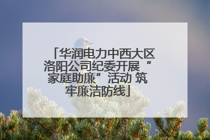 华润电力中西大区洛阳公司纪委开展“家庭助廉”活动 筑牢廉洁防线