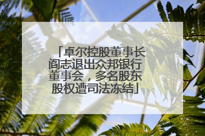 卓尔控股董事长阎志退出众邦银行董事会，多名股东股权遭司法冻结