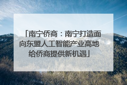 南宁侨商：南宁打造面向东盟人工智能产业高地给侨商提供新机遇