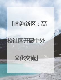 南海新区：高校社区开展中外文化交流