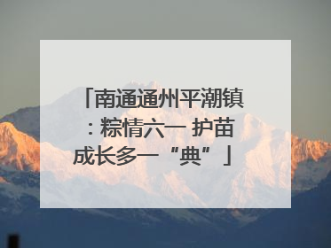 南通通州平潮镇：粽情六一 护苗成长多一“典”