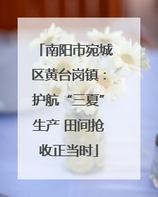 南阳市宛城区黄台岗镇：护航“三夏”生产 田间抢收正当时