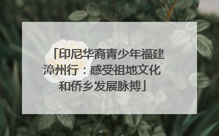 印尼华裔青少年福建漳州行：感受祖地文化和侨乡发展脉搏