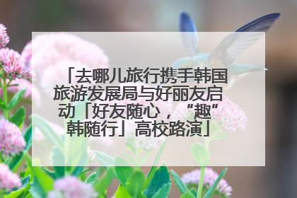 去哪儿旅行携手韩国旅游发展局与好丽友启动「好友随心，“趣”韩随行」高校路演