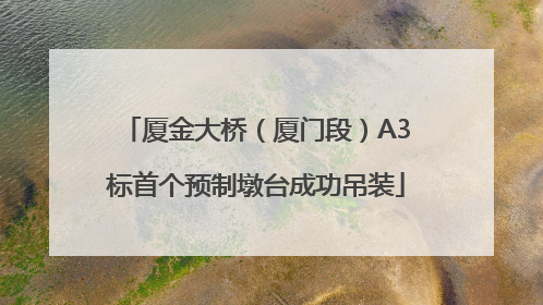 厦金大桥（厦门段）A3标首个预制墩台成功吊装