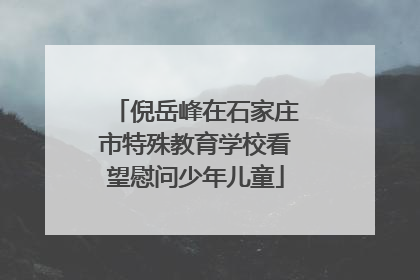 倪岳峰在石家庄市特殊教育学校看望慰问少年儿童