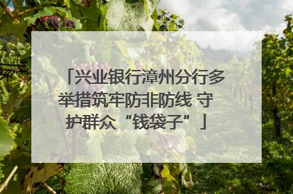 兴业银行漳州分行多举措筑牢防非防线 守护群众“钱袋子”
