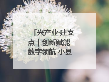 兴产业·建支点｜创新赋能 数字领航 小县城迎来大发展
