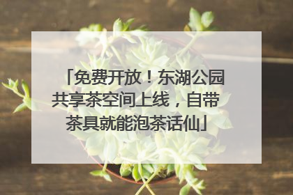 免费开放！东湖公园共享茶空间上线，自带茶具就能泡茶话仙