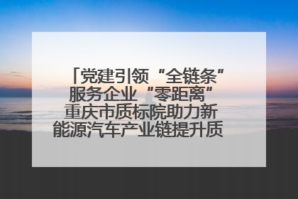 党建引领“全链条” 服务企业“零距离” 重庆市质标院助力新能源汽车产业链提升质量管理水平