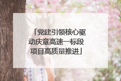 党建引领核心驱动庆章高速一标段项目高质量推进