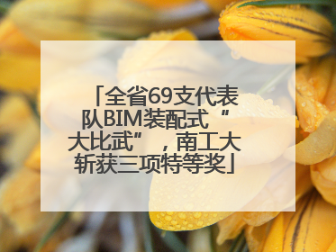 全省69支代表队BIM装配式“大比武”，南工大斩获三项特等奖