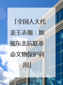 全国人大代表王志强：加强东北抗联革命文物保护利用