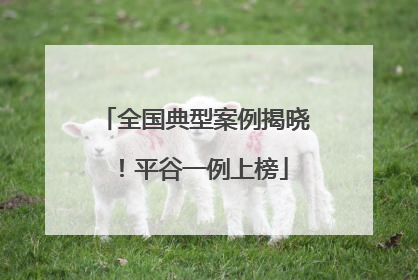 全国典型案例揭晓！平谷一例上榜