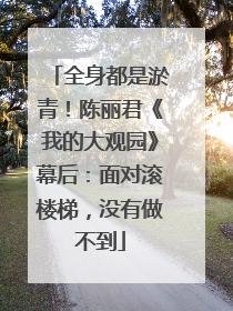 全身都是淤青！陈丽君《我的大观园》幕后：面对滚楼梯，没有做不到