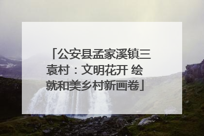 公安县孟家溪镇三袁村：文明花开 绘就和美乡村新画卷