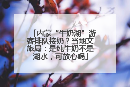 内蒙“牛奶湖”游客排队接奶？当地文旅局：是纯牛奶不是湖水，可放心喝