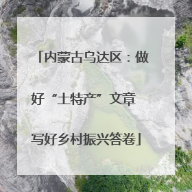 内蒙古乌达区：做好“土特产”文章 写好乡村振兴答卷