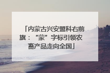 内蒙古兴安盟科右前旗：“蒙”字标引领农畜产品走向全国