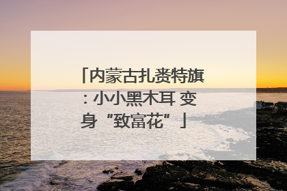 内蒙古扎赉特旗：小小黑木耳 变身“致富花”