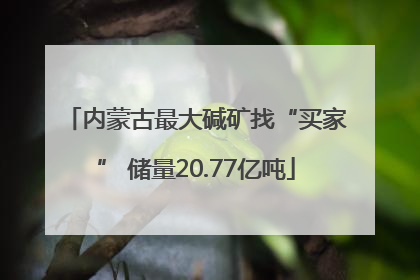 内蒙古最大碱矿找“买家” 储量20.77亿吨