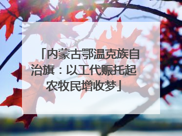 内蒙古鄂温克族自治旗：以工代赈托起农牧民增收梦
