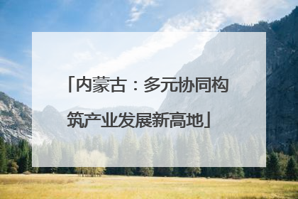 内蒙古：多元协同构筑产业发展新高地