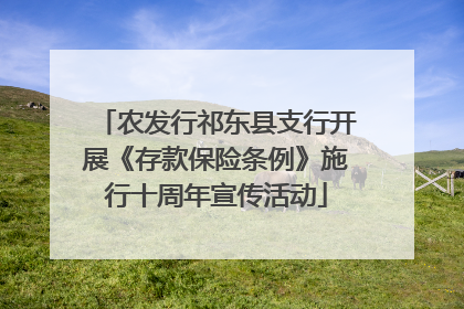 农发行祁东县支行开展《存款保险条例》施行十周年宣传活动