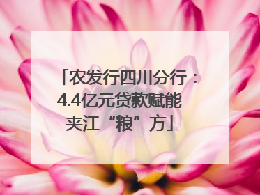 农发行四川分行：4.4亿元贷款赋能夹江“粮”方