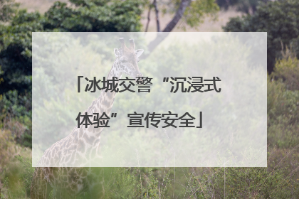 冰城交警“沉浸式体验”宣传安全