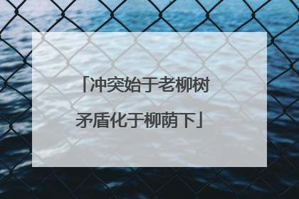 冲突始于老柳树 矛盾化于柳荫下